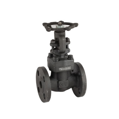 3GE-2232A-09 Gate Valve Genebre 2232A 09 3WS1CS-W-2W-DN50-F-CSCS